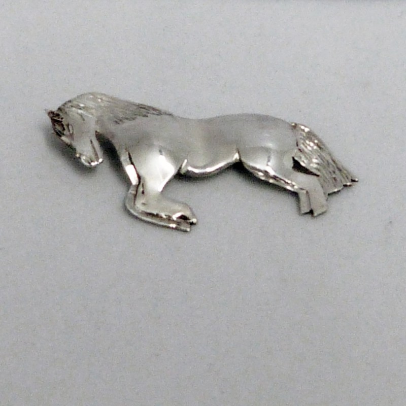 PT.BR.01. Broche plata.