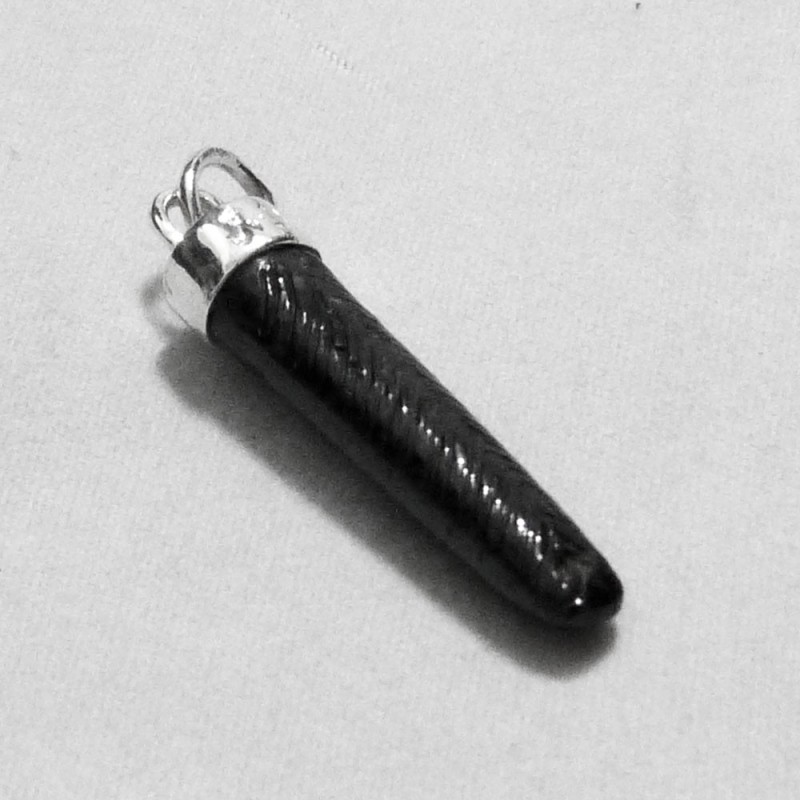 PT.CO.31. Colgante plata.