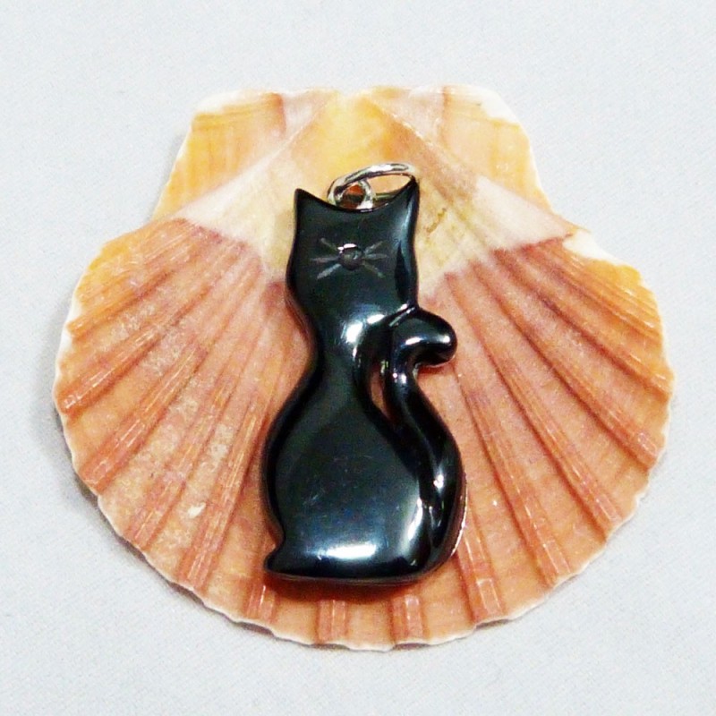 PT.CO.52. Colgante plata.